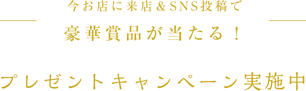 プレセントキャンペーン実施中